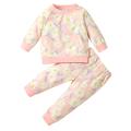 Girl Boy Two Piece Set, Baby Newborn Floral Dinosaur Printed Long Sleeve Pullover Shirt Trousers Pants. 