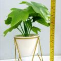 Ceramic pot with plant and metallic stand. 