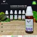 Lavender Aromatherapy Essential Oil (10 ml)  – Pakistan Pansar Lavender Oil 100% Pure & Natural – Undiluted. 