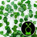 Plant Organize Clip High Stability Garden Support Binding Vine Wall Hook. 