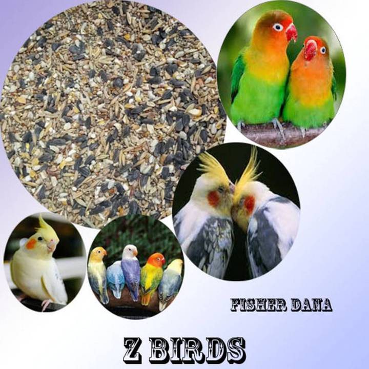 Mixed Feed For Fisher,Cocktail, Lovebird Parrots 1 kg