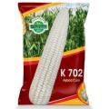 Hybird Corn Seeds. 