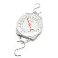 Hanging Scale 100kg 220lbs and 200kg Capacity Alloy Mechanical Hanging Scales With 2 Hook. 