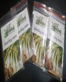 Bunching Onions. 
