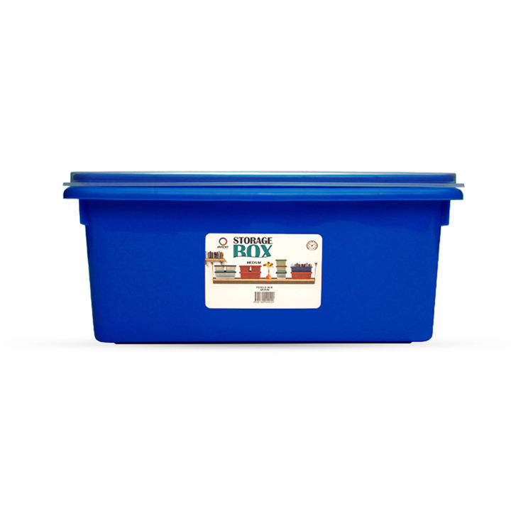 Orient Large Plastic Storage Box with Lockable Lid, Stackable BPA-Free Organizer for Home, Office, or Kitchen