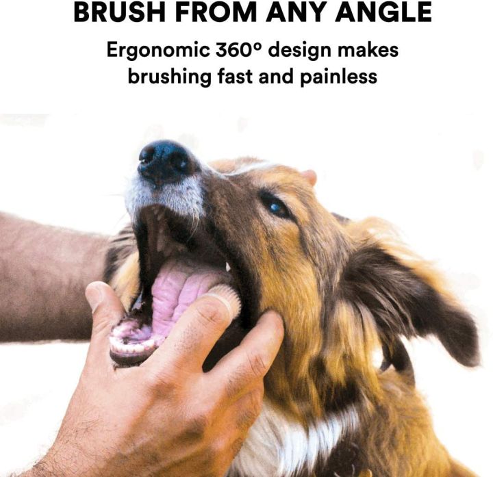 Jasper%20360%C2%BA%20Dog%20Fingerbrush%20Toothbrush%20Kit%20(2-Pack)%20Ergonomic%20Design,%20Full%20Surround%20Bristles%20for%20Easy%20Teeth%20Cleaning,%20Dental%20Care%20for%20Puppies,%20Cats%20and%20Small%20Pets,%20Clear%20-%20Image%204