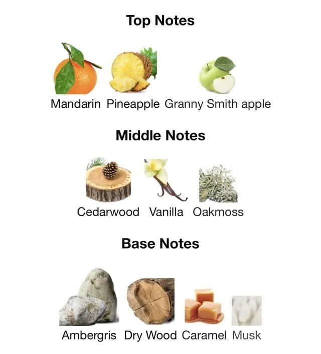 Afnan%209pm%20Rebel%20Perfume%20for%20Men%20and%20Women%20-%20100ml%20-%20Image%205