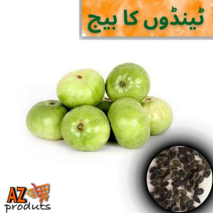 Apple Gourd/Round Gourd Seeds  (Tindon Ke Beej)(ٹینڈوں کا بیج)Desi/Germinated/Best Quality/Fast growing/Excellent Germination/High Quality/Healthy Vegetable Seeds/Vegetable/Home/Kitchen/Gardening seeds/beej/Vegetables Seeds Packet
