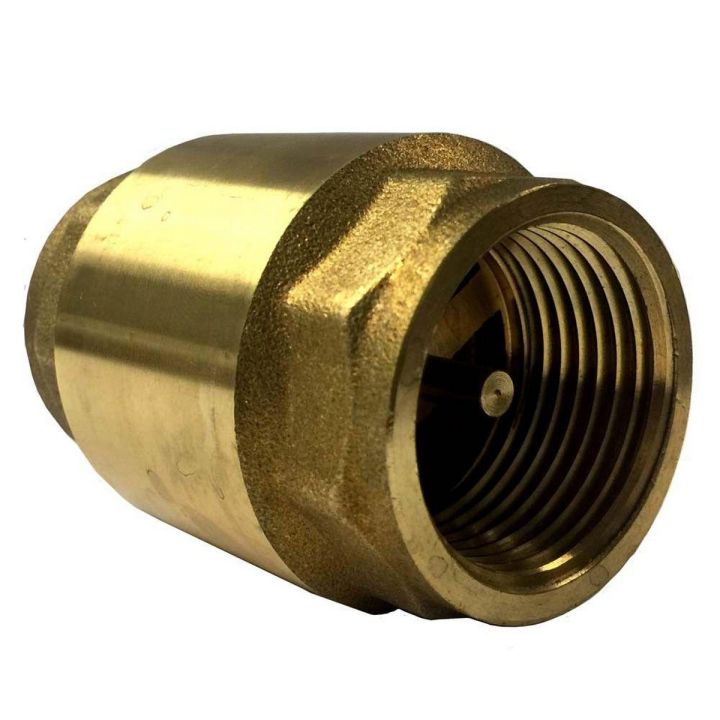 Brass Check Valve 3/4'' NRV (Made In China)