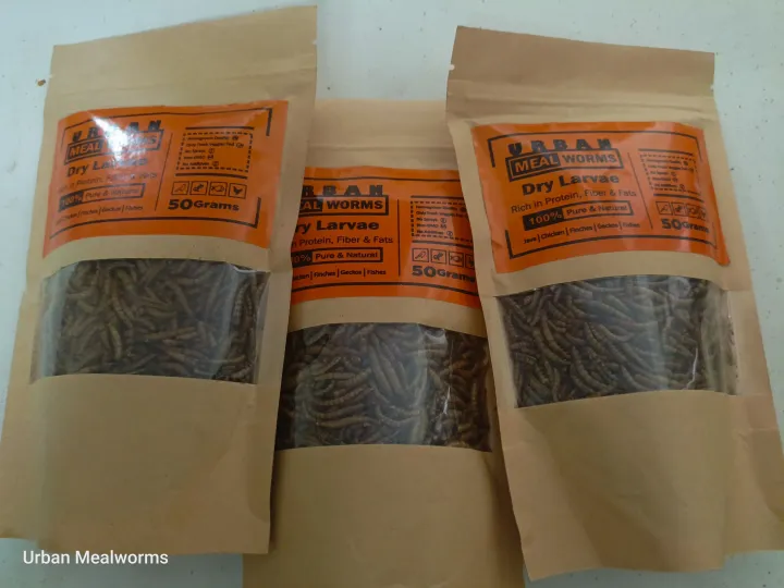 Dry%20Mealworms%20(Protein%20Bites%20Turmeric%20Coated%20For%20Your%20Birds)%20-%20Image%207