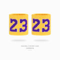 Kobe basketball wrist guards boys and girls Lakers No. 24 sprain thickened sweat towel James sports wrist cover. 