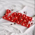 Love LED Light Night Lamp For Wedding Party, Decoration, Romantic Date, etc.. 