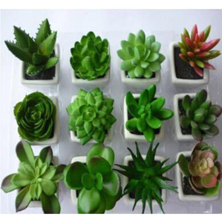 Artificial Flowers & Plants Pack Of 12 Artificial Cactus Plants In White Pots Planter Home Decor