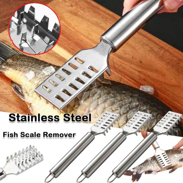 Kitchen Tools Stainless Steel Fish Scale Remover Cleaning Fish Scales ...