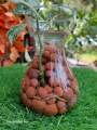 Clay Pebbles , Clay Balls  (10 MM size), lica Balls, Hydroponic clay balls Natural Clay Pebbles for Hydroponic & Aquaponics Growing, Orchid Potting Mix,  250 Gram & 500 gram. 