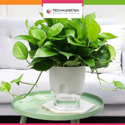 Techmanistan Indoor Plastic Self Watering Flower Pot With Cotton Rope & Container For Water