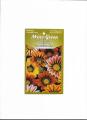 Pack of 5 seasonal Flowers Seeds By More Green. 