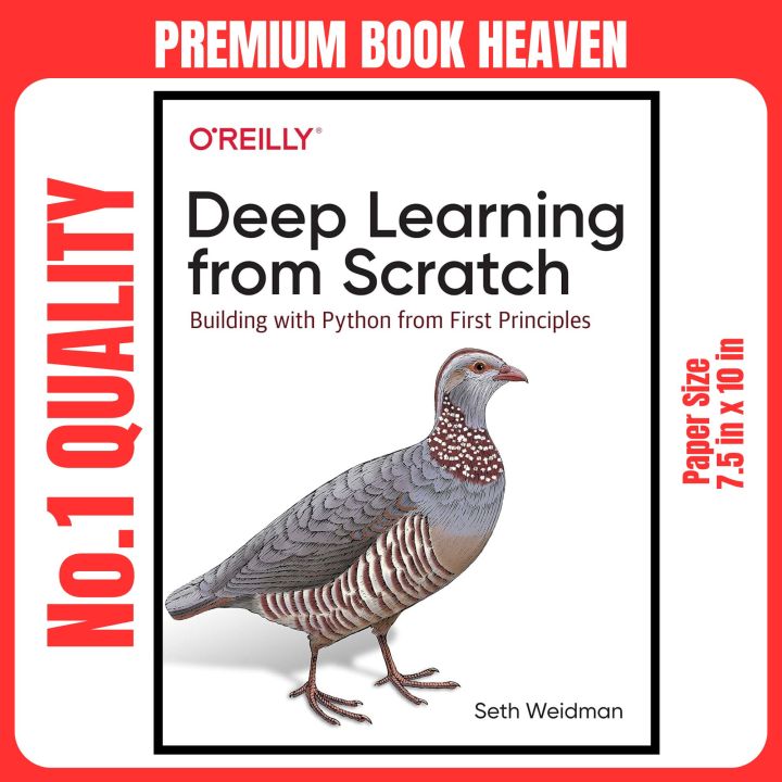Deep Learning from Scratch: Building with Python from First Principles