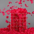 100 pieces of rose petals wedding flower decoration. 