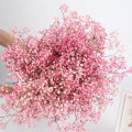 100g Dried Baby's Breath Flowers Bouquet White Dry Flowers Bulk,Real Natural Gypsophila Branches for Wedding, DIY Wreath Floral. 