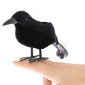 Halloween Black Crow Props Realistic Raven Spooky Feathered Crows House Decor Sunlight Super Store. 