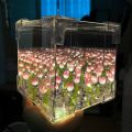 DIY Flower Sea 3D Cloud Tulip LED Night Light Mirror Table Lamps. 