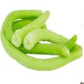 Tar / Kakri Armenian Cucumber Seeds - Kitchen Gardening Vegetable Seeds. 