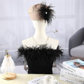 Ostrich Feather Decoration, Feather Decoration for Sewing Costumes, Latin Dresses, Halloween Home Parties. 