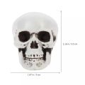 10Pcs Creativity Halloween Mini Skeleton Head Terrifying Table Decor Skull Heads Scary Props Halloween Decor Props Skulls Decoration for Halloween Party. 