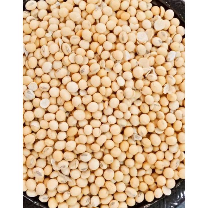 Soybean whole