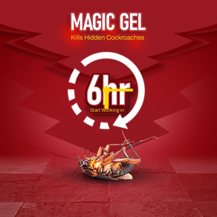 Pristine%20Shine%20Magic%20Insect%20Killer%20Powder%20Crawling%20Insect%20Killer%20-%20Cockroaches,%20Ants,%20Bed%20Bugs,%20Termites,%20Fleas,%20Lice,%20Dust%20Mites,%20Spiders%20-%20Image%206