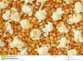 Popcorn  Kernels  100  g     Popcorn  Kernels  100  g     Popcorn  Kernels  100  g. 