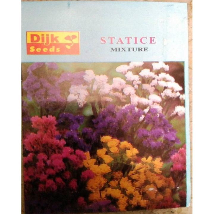 Statice Seeds Mixed Colour