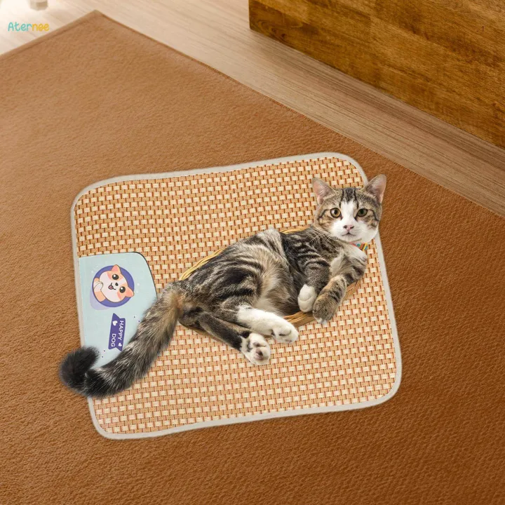 Cooling%20Mat%20Easy%20Carry%20Pet%20Cat%20Cooling%20Cushion%20for%20Bed%20Cats%20blue%20-%20Image%205