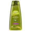 Dalan d'Olive Shampoo, Color Protection, 400 ml. 