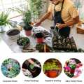 Pack of 10 Premium Quality 4.1×4.1Inches Plastic Flowerpot - Plastic Pots for Plants - Plastic Pots for Home Gardening - Plastic Pots for Seedling - Premium Quality Plastic Pots. 
