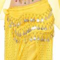 bellylady Women Belly Dance Hip Scarf 98 Coins Chiffon Indian Dance Waist Chain For Beginners Practice Stage Performance. 