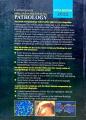 Contemporary Oral And Maxillofacial Pathology 4th edition. 