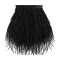 Ostrich Feather Decoration, Feather Decoration for Sewing Costumes, Latin Dresses, Halloween Home Parties. 