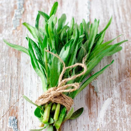 Tarragon Seeds 15gm