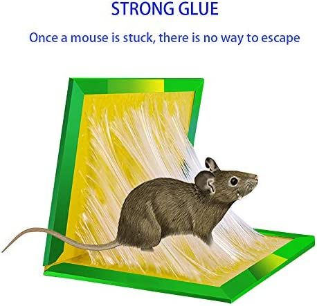 Mouse%20&%20Rat%20Glue%20Mat%20-%20Sticking%20Mat%20for%20Rats%20(1%20Piece)%20-%20Image%203