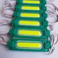 20 PCS LED Module Green Light COB LED Capsule Green Light Waterproof DC 12V Car Bike Decoration 20PCS. 