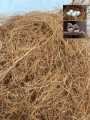 Coconut Grass For Small Nesting Birds - 25 grams. 
