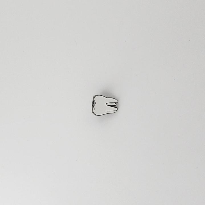 DENTINE BROOCH MB032 Daraz.pk