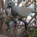 Pigeon Decoy Pair. 
