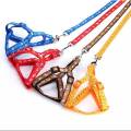 Leashes & Harnesses