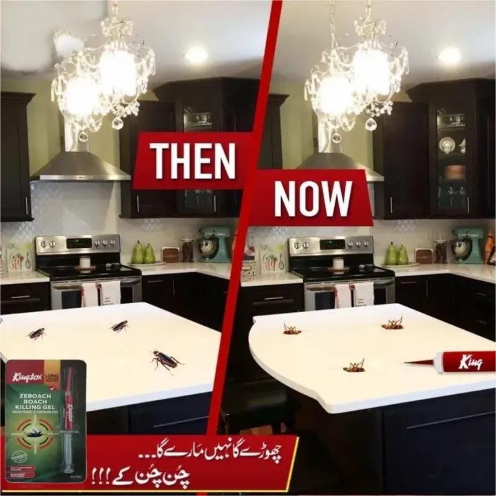 KINGTOX%20Roach%20Killing%20Gel%20King%20Gel%20Injection%2010%20GRAMS%20Cockroach%20Killer%20Gel%20Insect%20Killer%20Insect%20Gel%20Pest%20Control%20Non%20Toxic%20and%20Odorless%20-%2010gm%20-%20Image%206