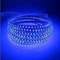 Blue LED Rope ceiling Strip Room Decoration Light Flexible SMD Water Proof with All Sizes party light. 