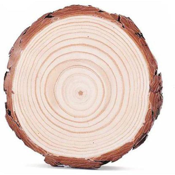 Wooden Log Slice Disc for DIY Crafts Diameter 1 Pc 7 to 8 inches