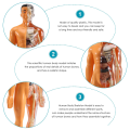 3D Human Body Anatomy Model Plastic DIY Skeleton Science Aids Toys. 